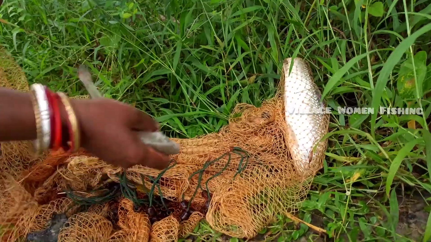 Amazing Mouni Net fishing    Village women fishing