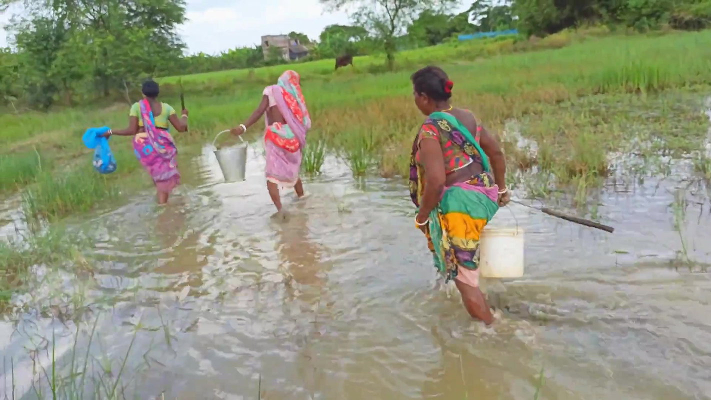 x  Amazing Mud Crab Hunting    Sea Crab Catching by V