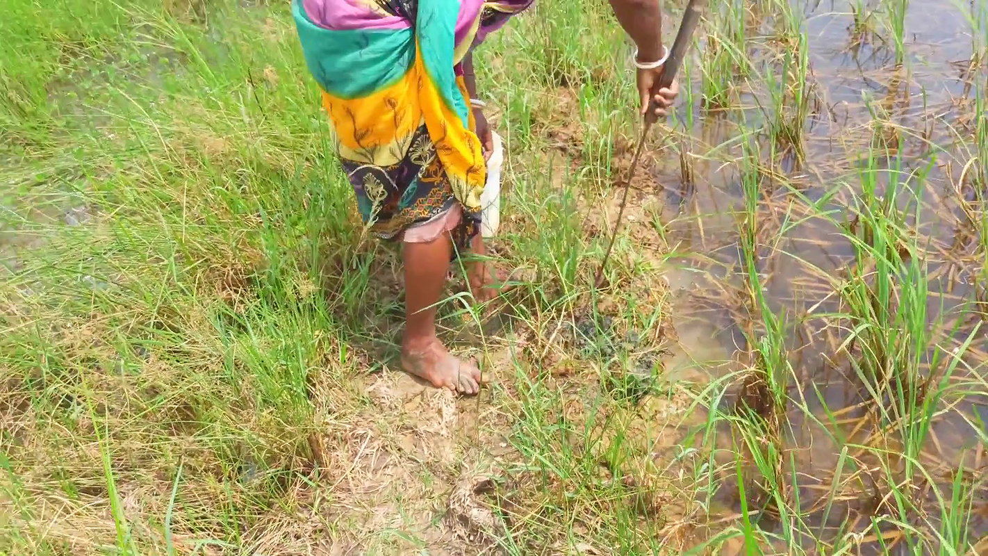 x  Amazing Mud Crab Hunting    Sea Crab Catching by V