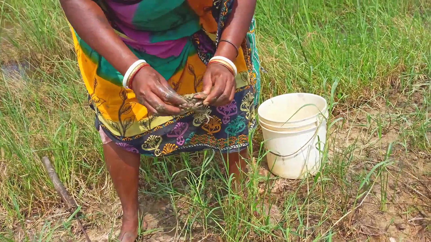 x  Amazing Mud Crab Hunting    Sea Crab Catching by V