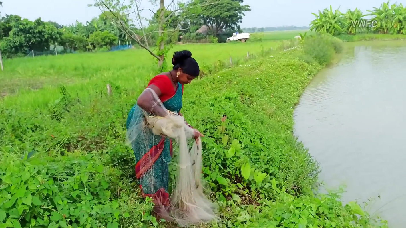 Amazing Net Casting by Village women    Best Net F