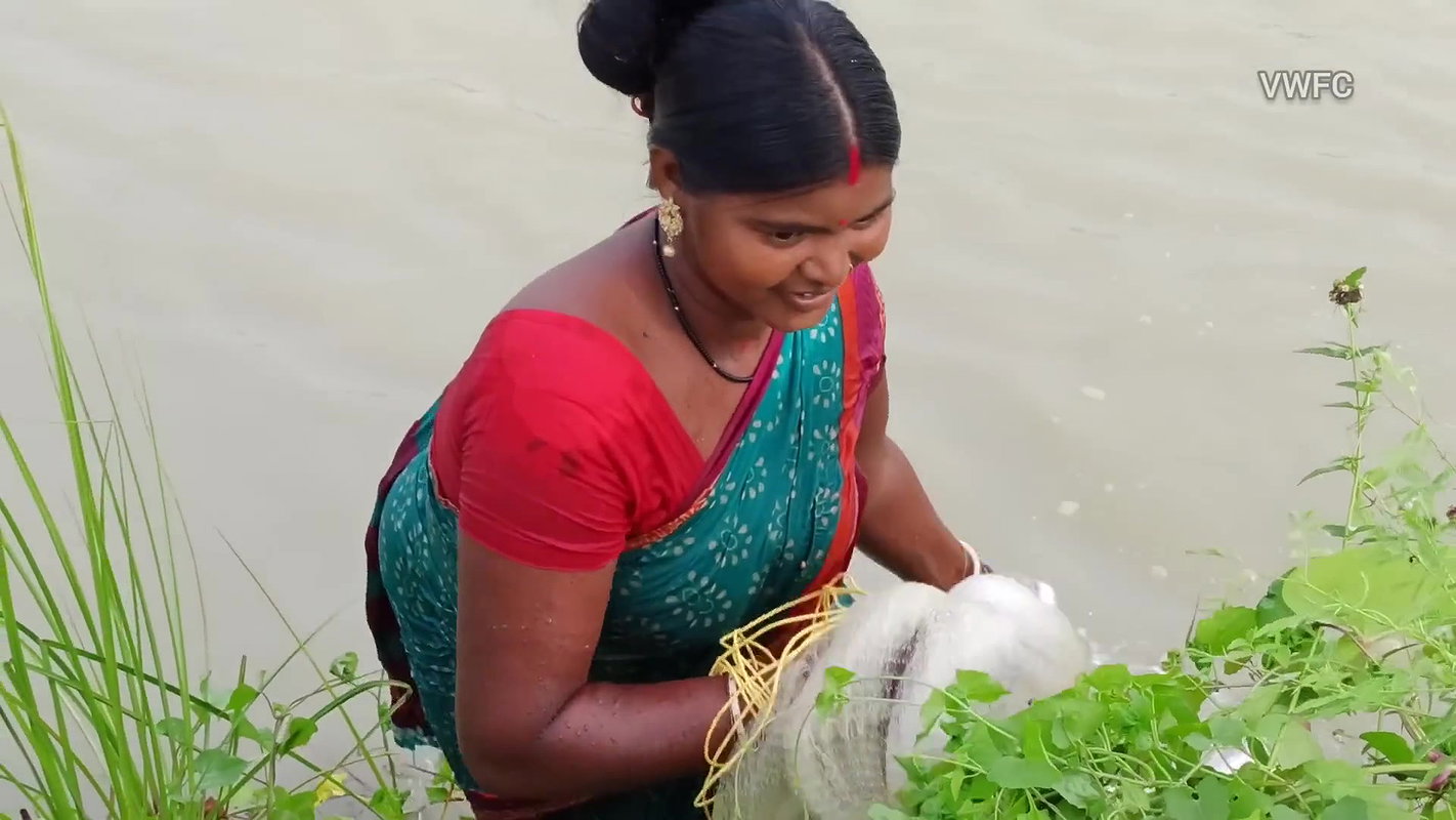 Amazing Net Casting by Village women    Best Net F