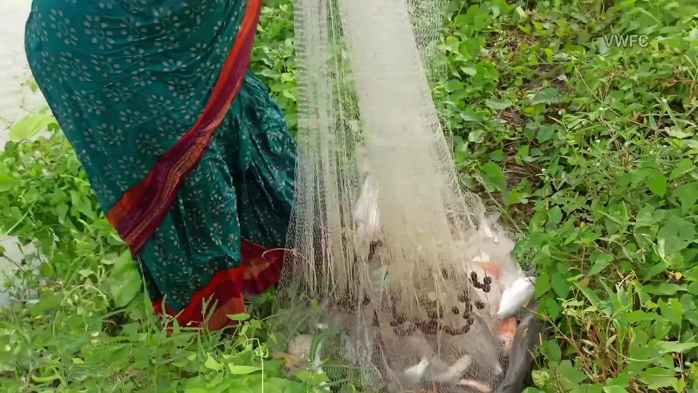 Amazing Net Casting by Village women    Best Net F