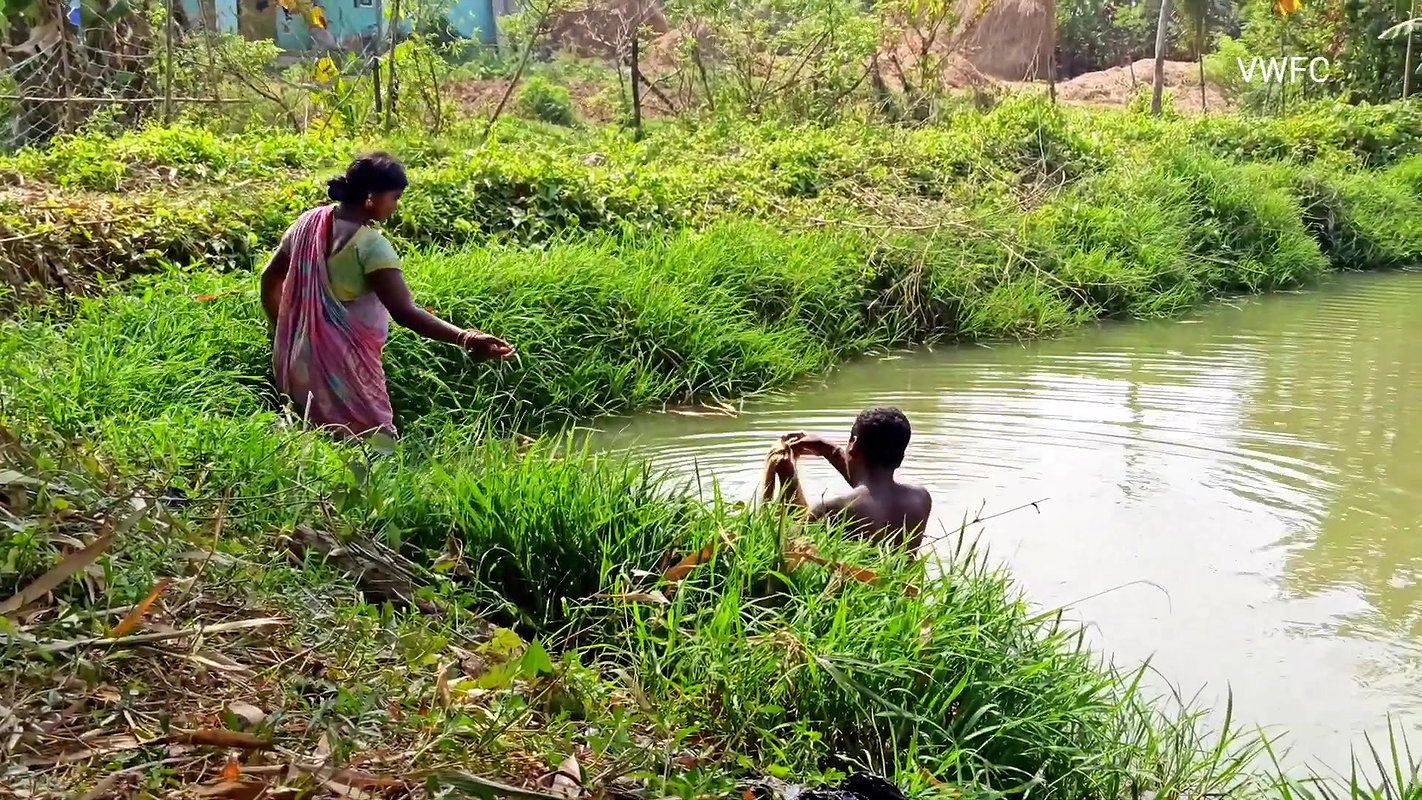 Amazing Net Fishing by Village women  Part -3
