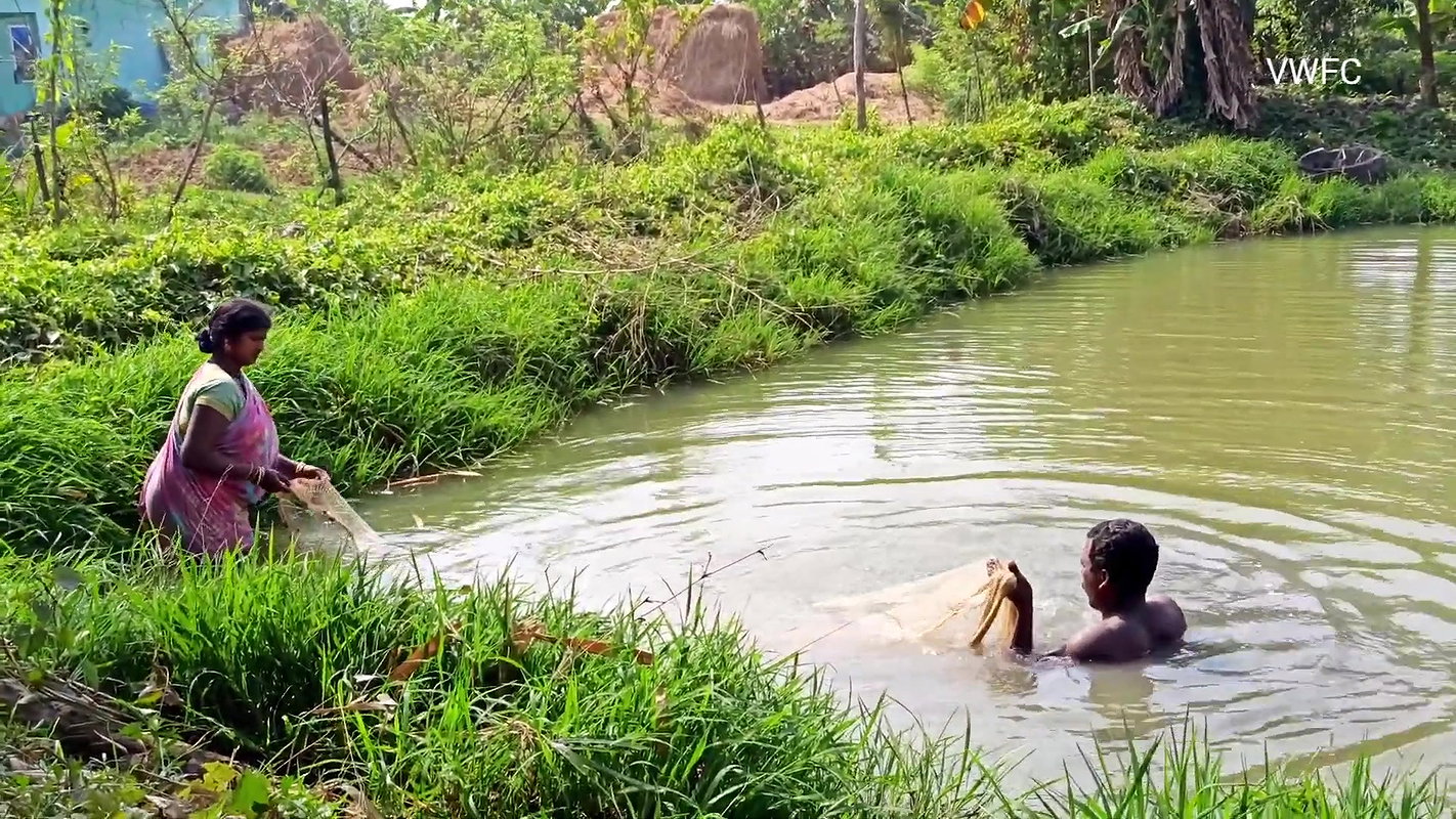 Amazing Net Fishing by Village women  Part -3