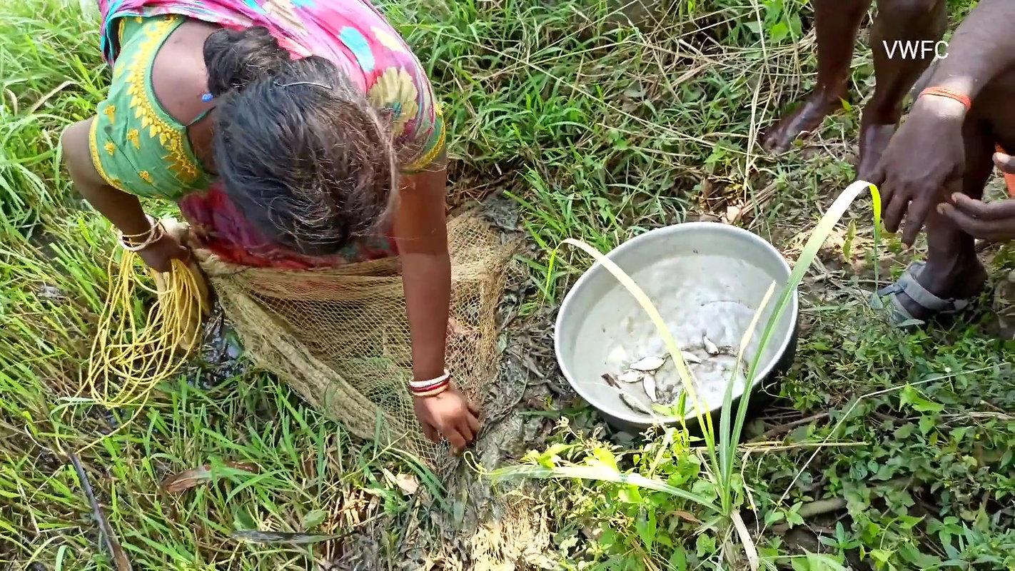 Amazing Net Fishing by Village women  Part -3