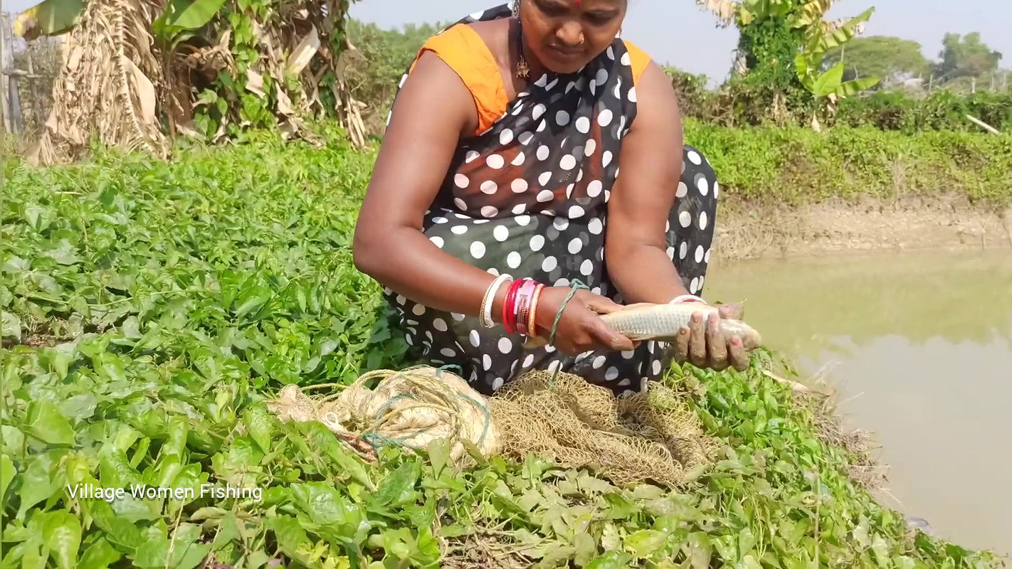 xAmazing net fishing by village women   Net Casting