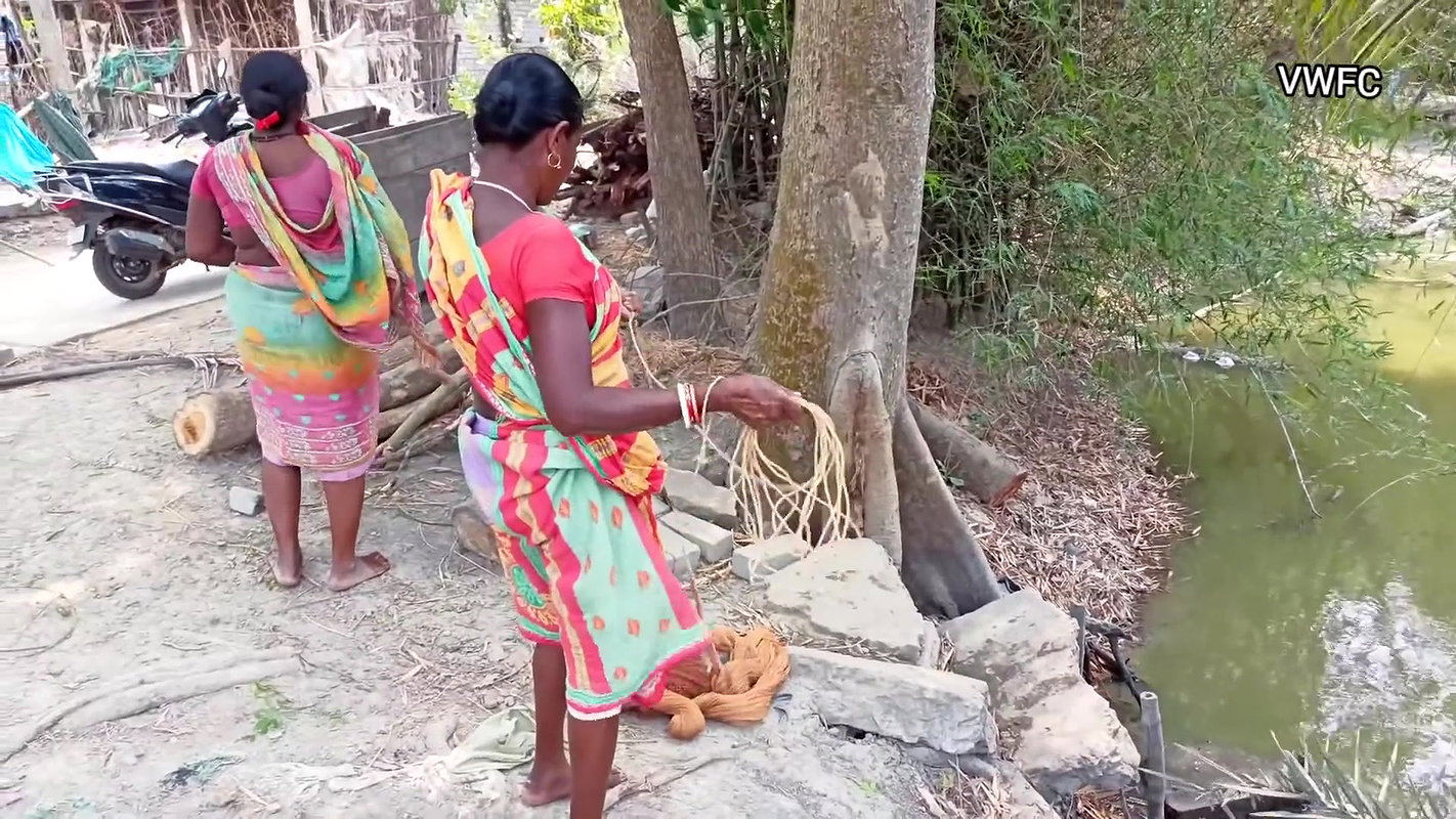Amazing Net Fishing by Village Women    Big Big Fi