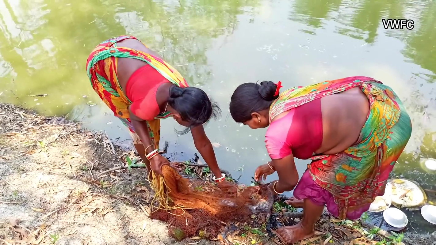 Amazing Net Fishing by Village Women    Big Big Fi