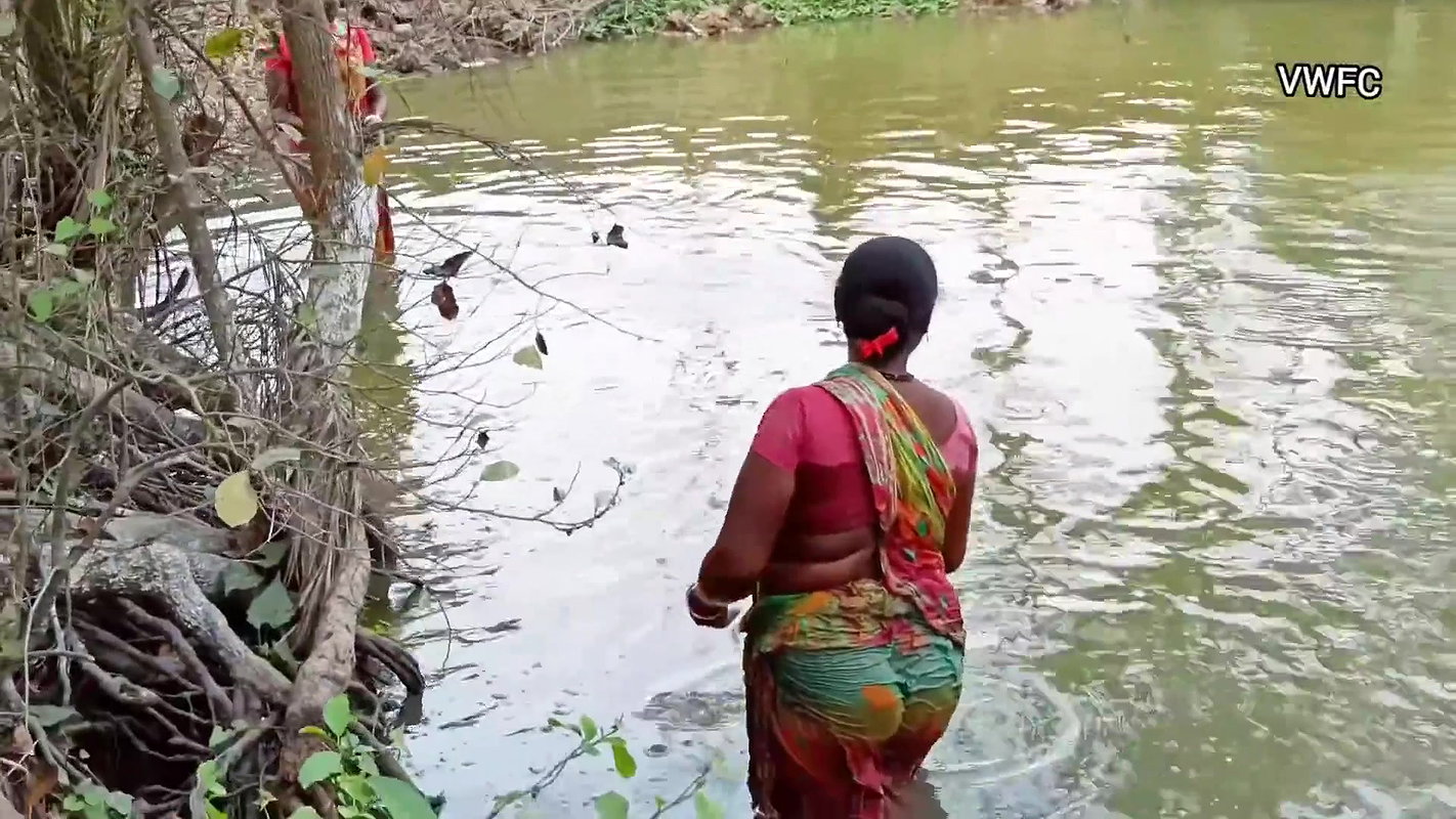 Amazing Net Fishing by Village Women    Big Big Fi