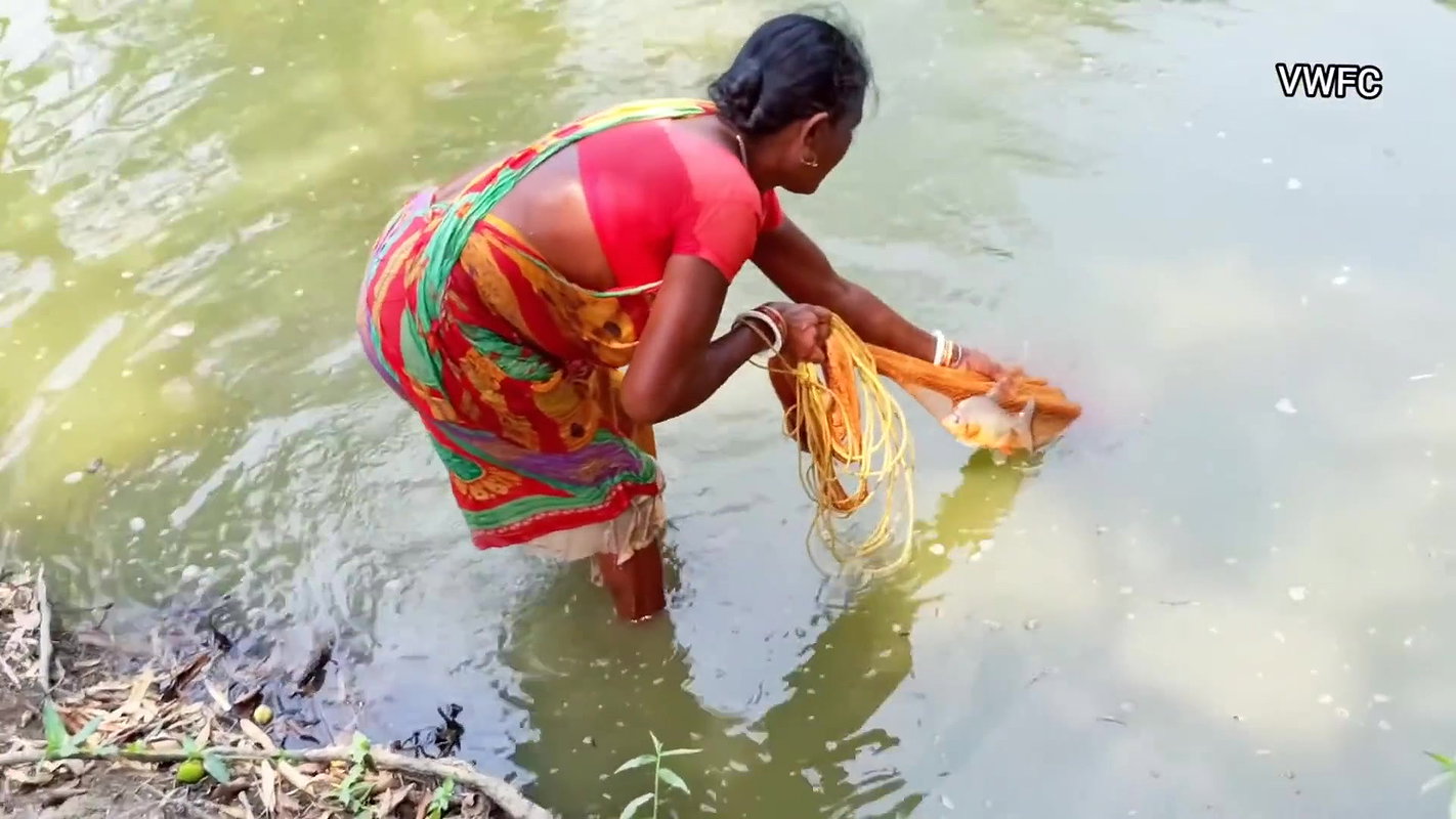 Amazing Net Fishing by Village Women    Big Big Fi