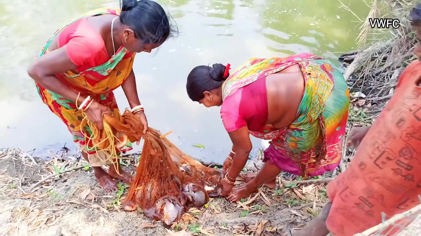 Amazing Net Fishing by Village Women    Big Big Fi