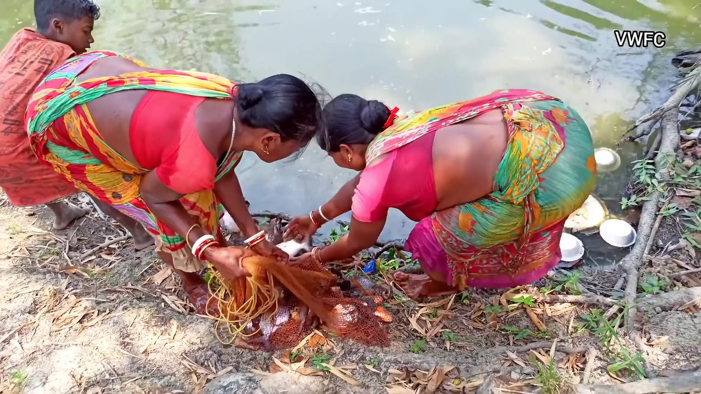 Amazing Net Fishing by Village Women    Big Big Fi