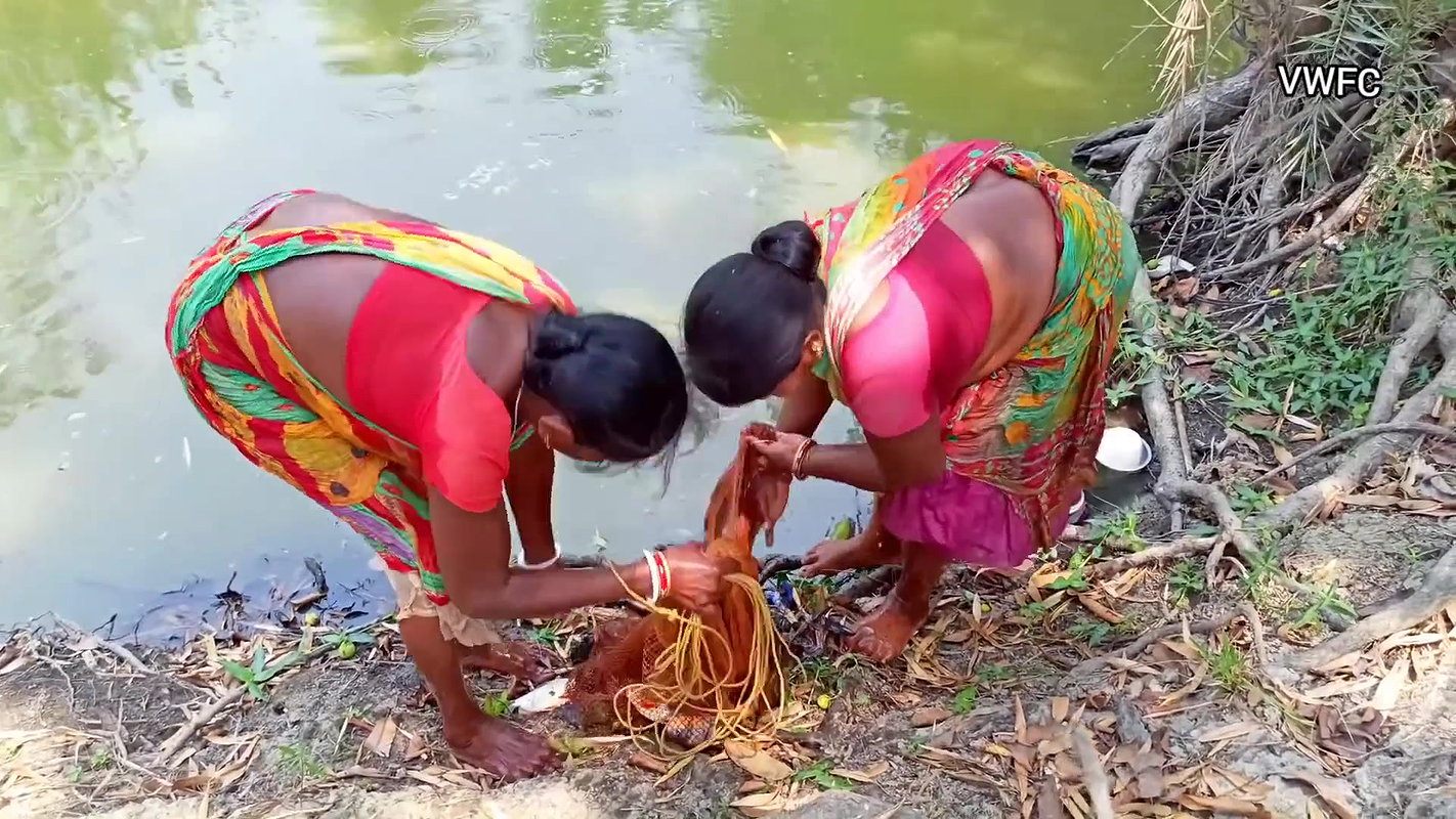 Amazing Net Fishing by Village Women    Big Big Fi