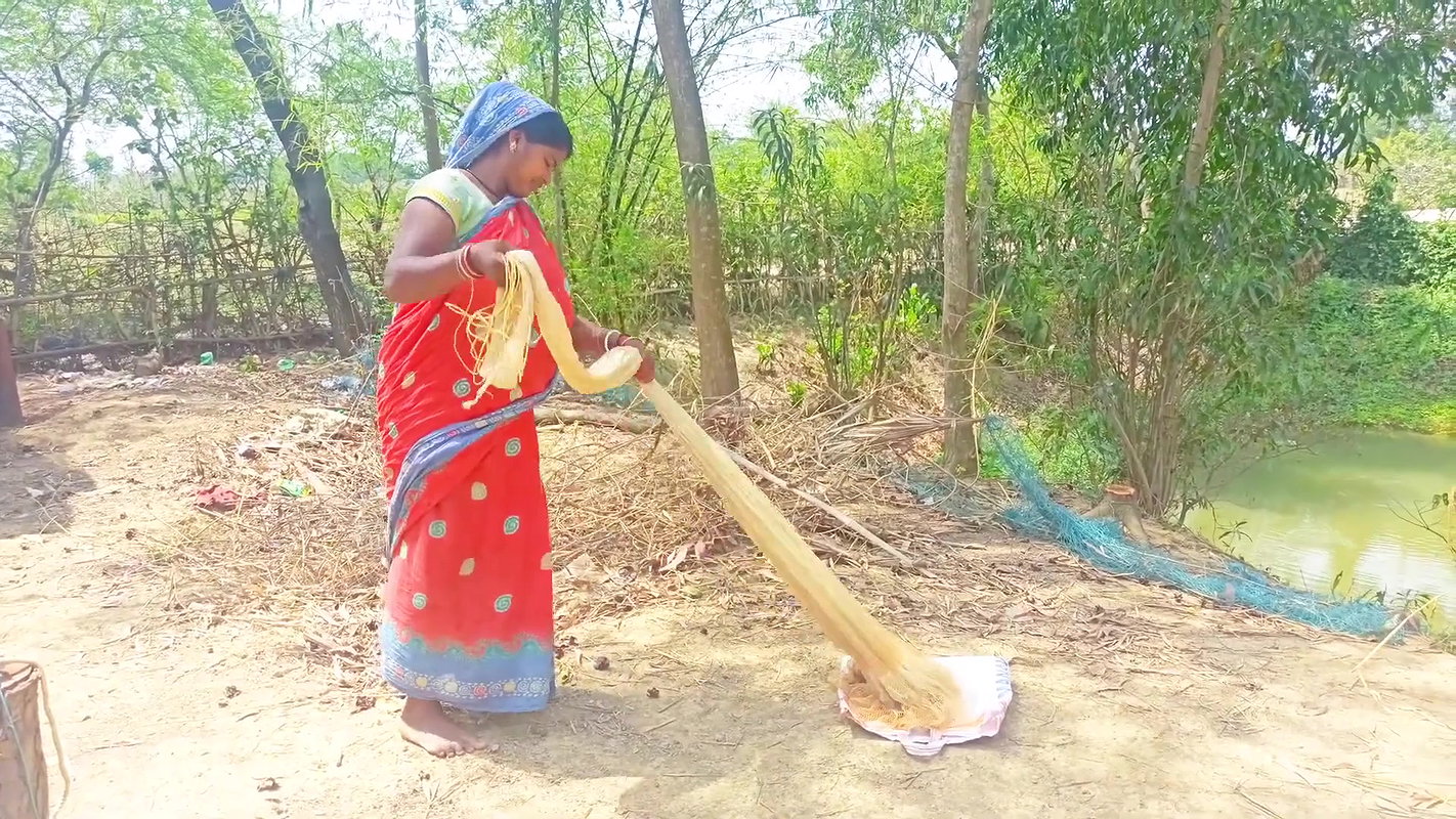 Amazing Net Fishing in Village    Women Casting Ne