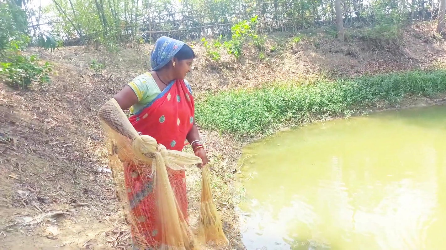 Amazing Net Fishing in Village    Women Casting Ne