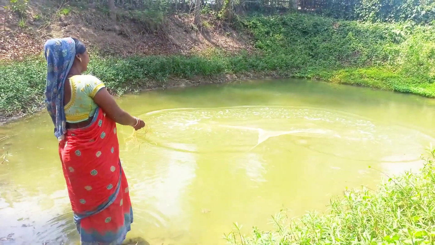 Amazing Net Fishing in Village    Women Casting Ne