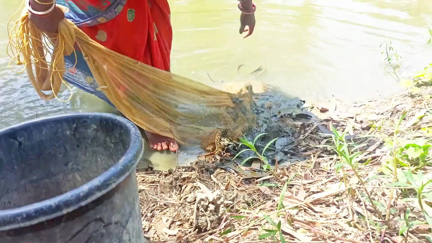 Amazing Net Fishing in Village    Women Casting Ne