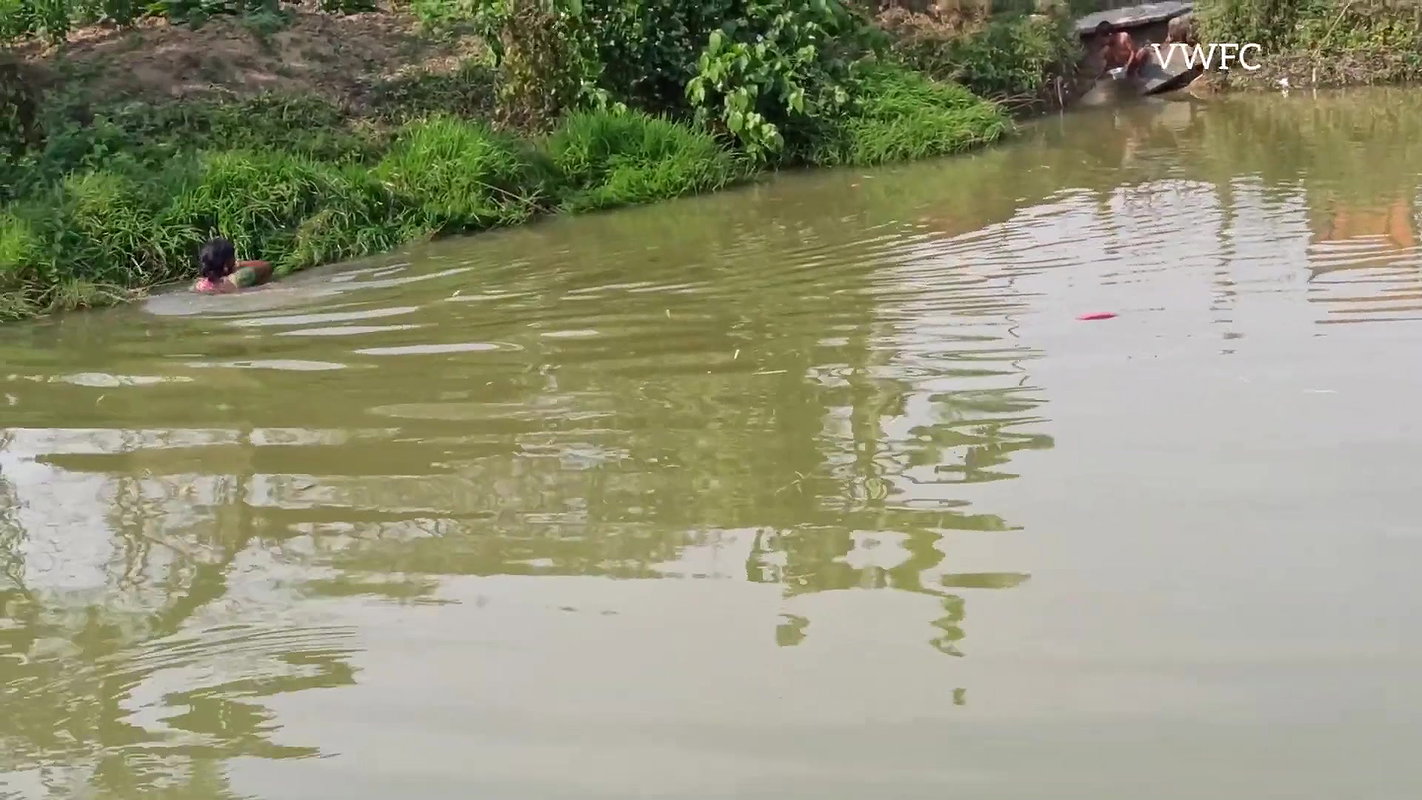 Amazing Net Fishing Video   Traditional village fi