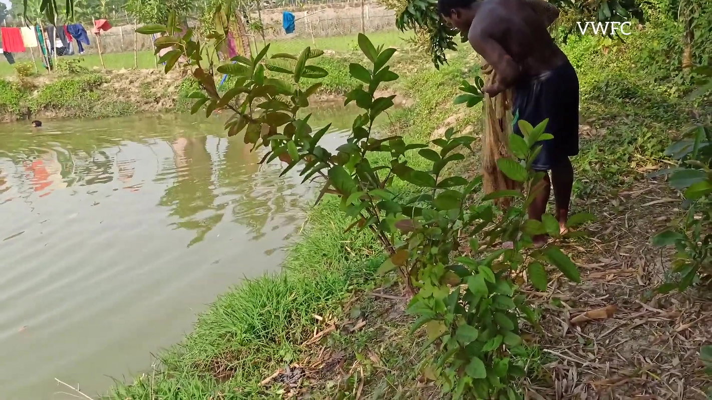 Amazing Net Fishing Video   Traditional village fi