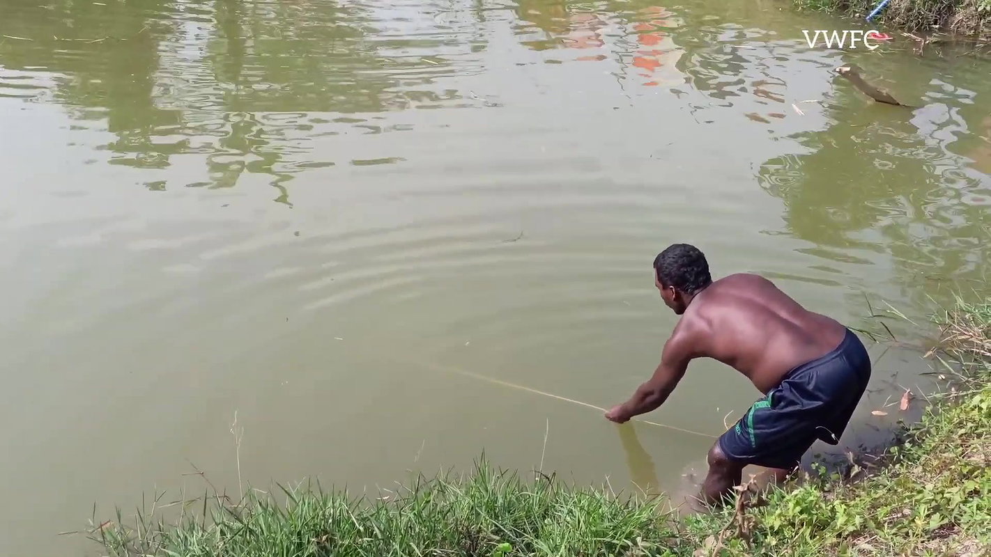 Amazing Net Fishing Video   Traditional village fi