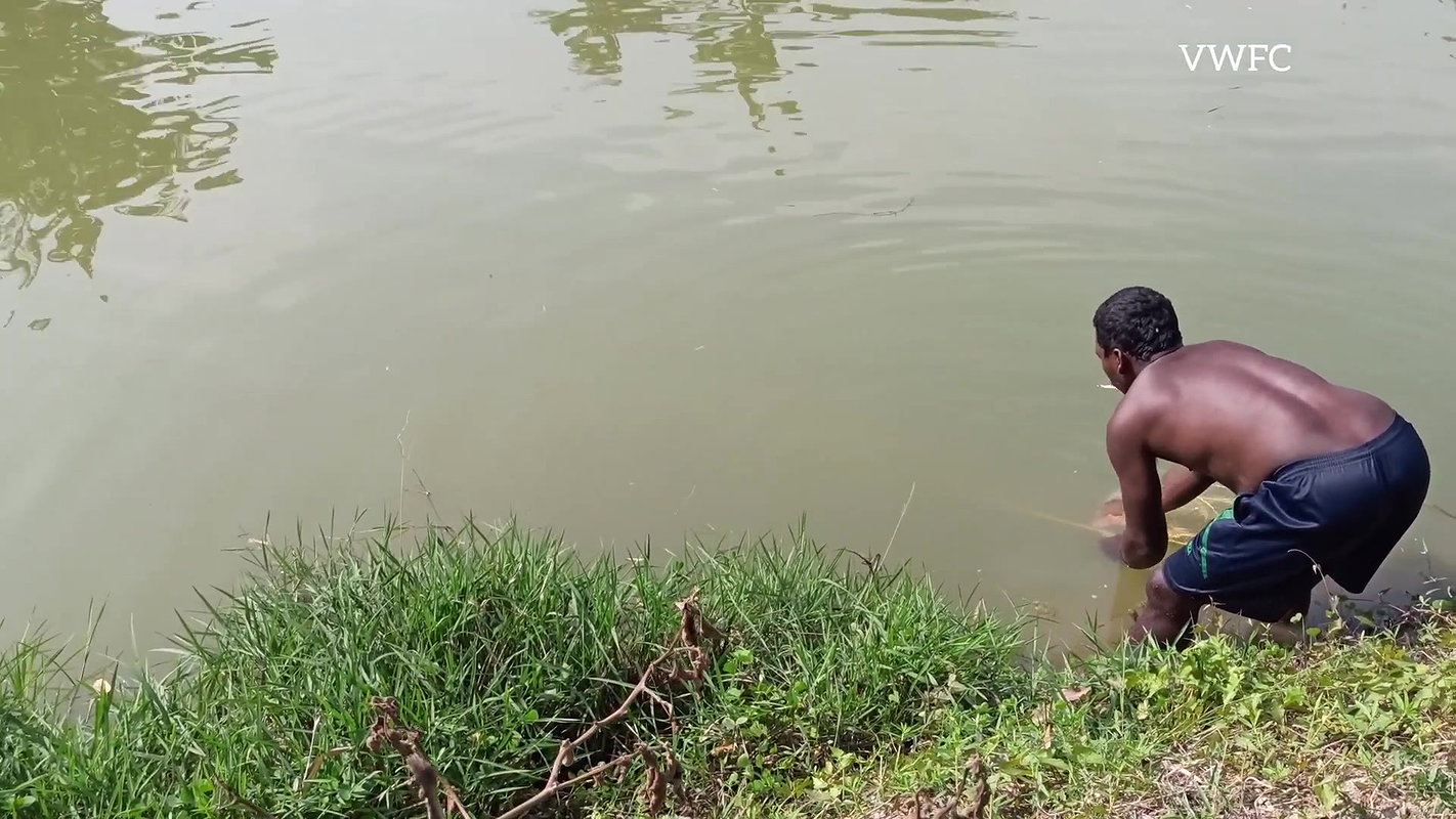 Amazing Net Fishing Video   Traditional village fi