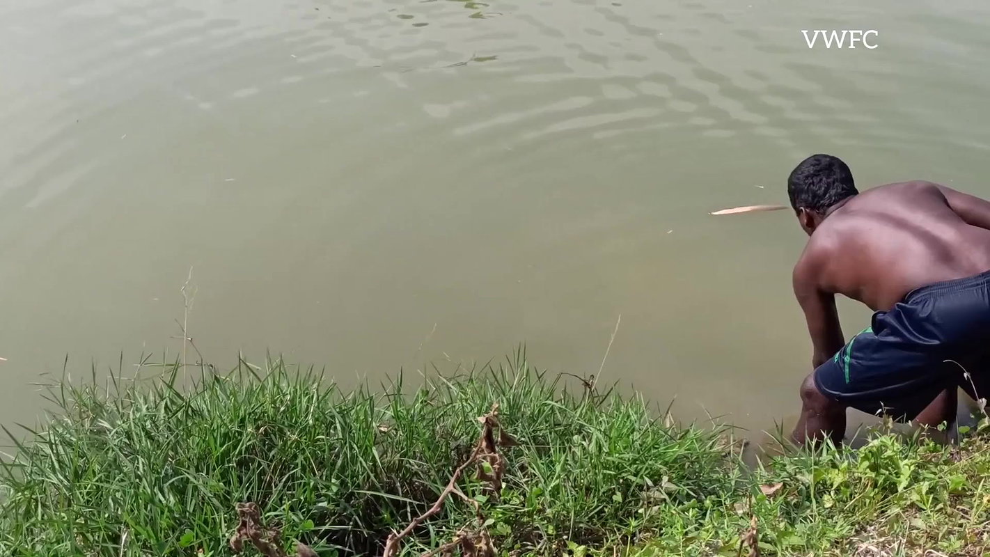 Amazing Net Fishing Video   Traditional village fi