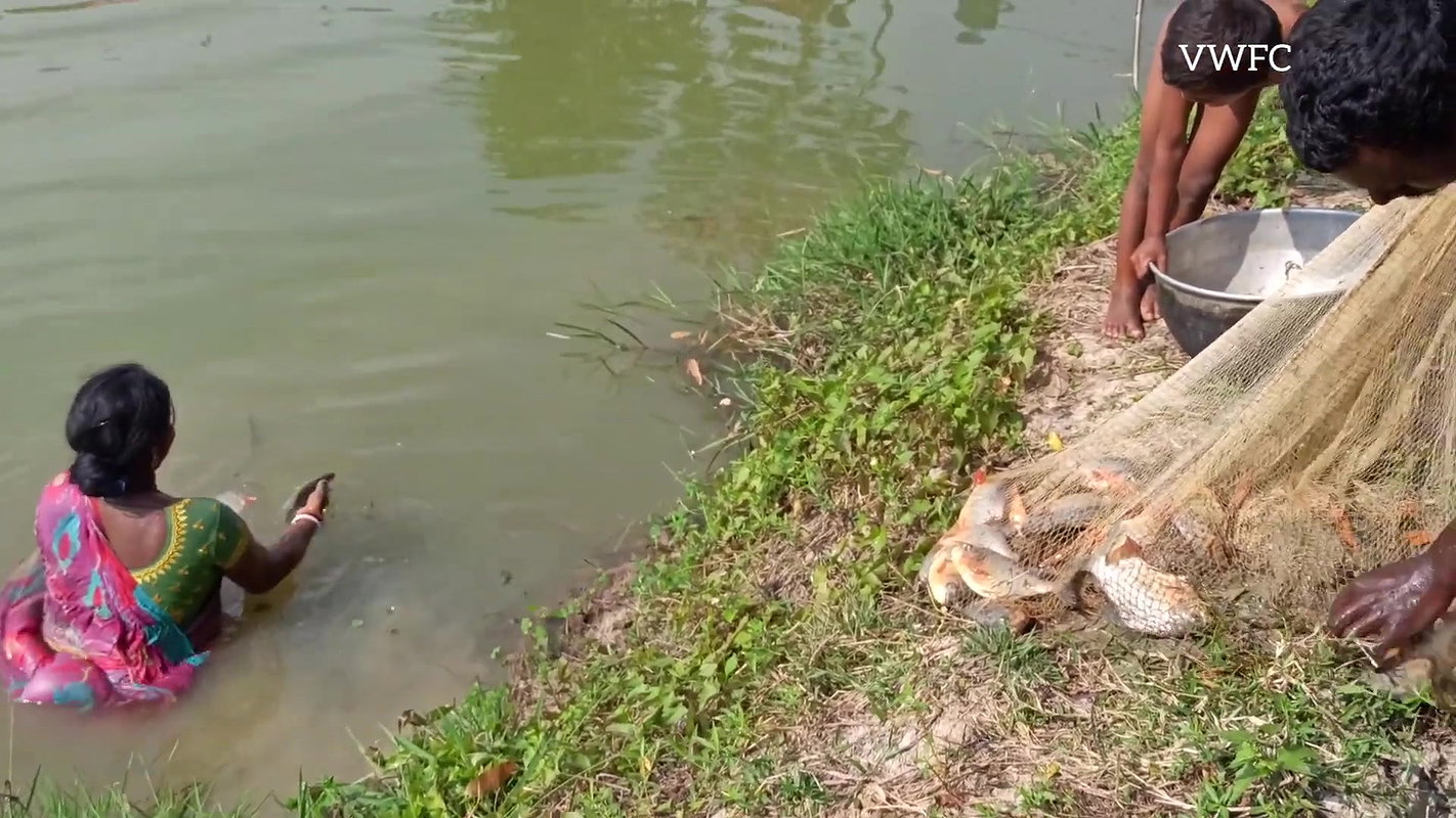 Amazing Net Fishing Video   Traditional village fi