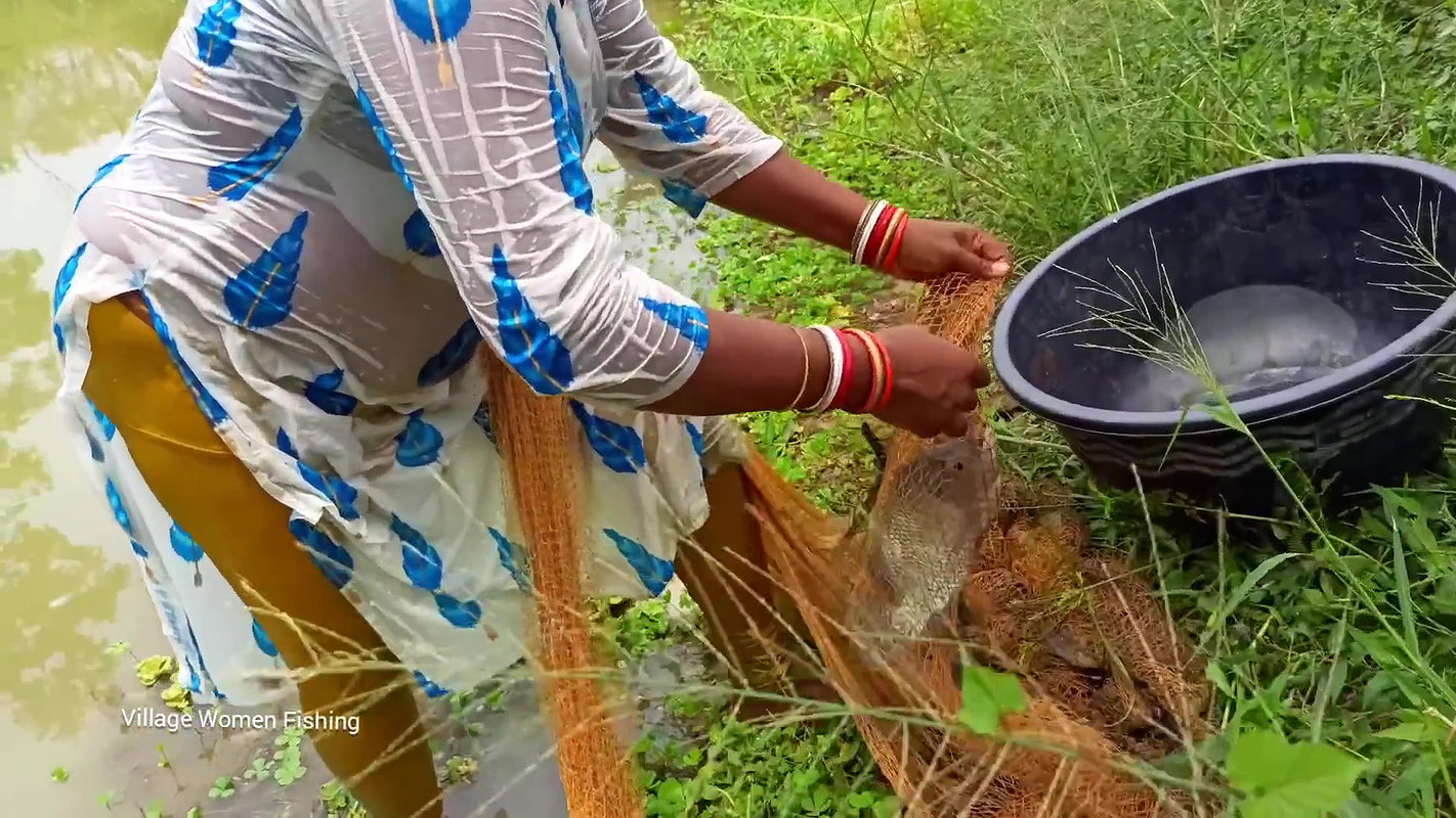 Amazing net fishing   village women fishing for Ti