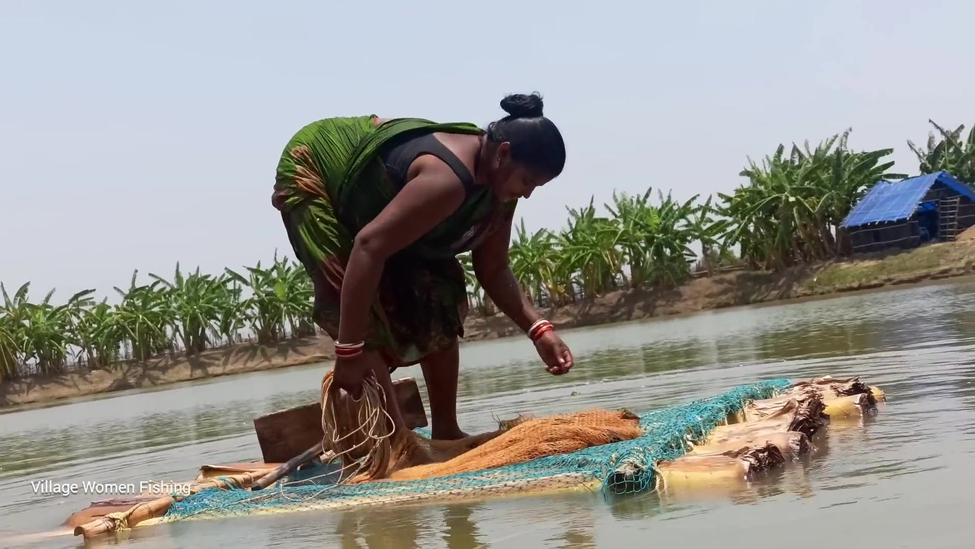 Amazing net fishing   Village women net fishing fl