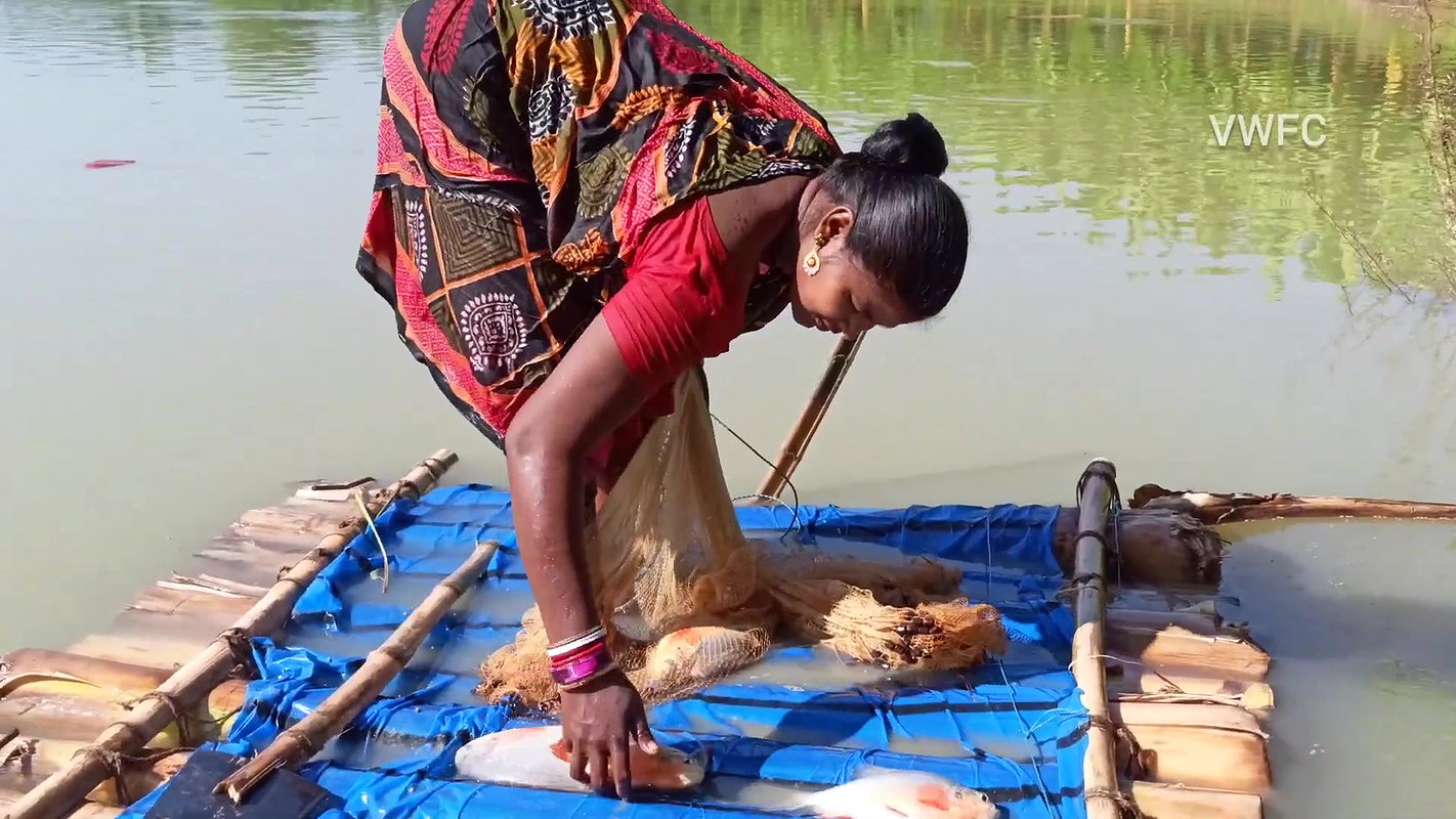 Amazing net fishing   Village women net fishing us