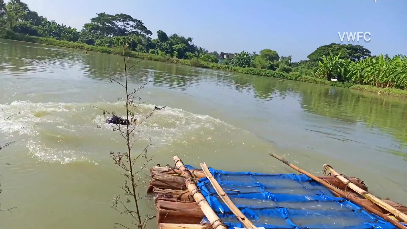 Amazing net fishing   Village women net fishing us