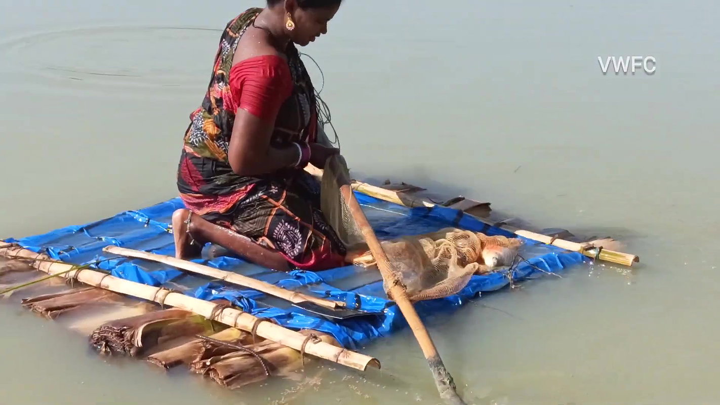Amazing net fishing   Village women net fishing us