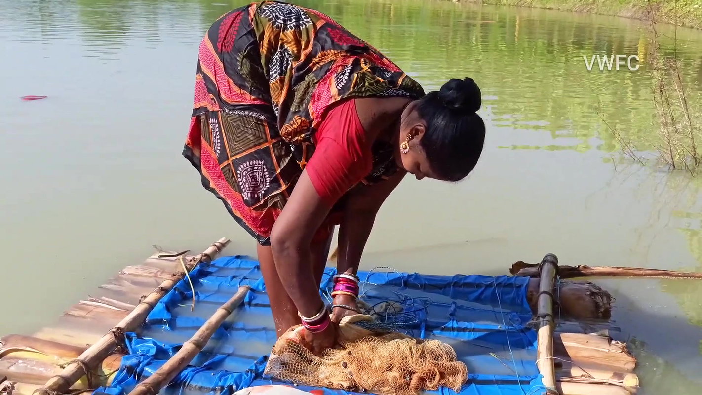 Amazing net fishing   Village women net fishing us