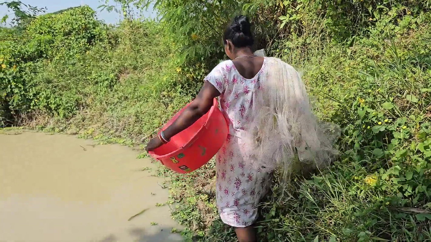 Amazing Net Fishing    Village Women Net Fishing f