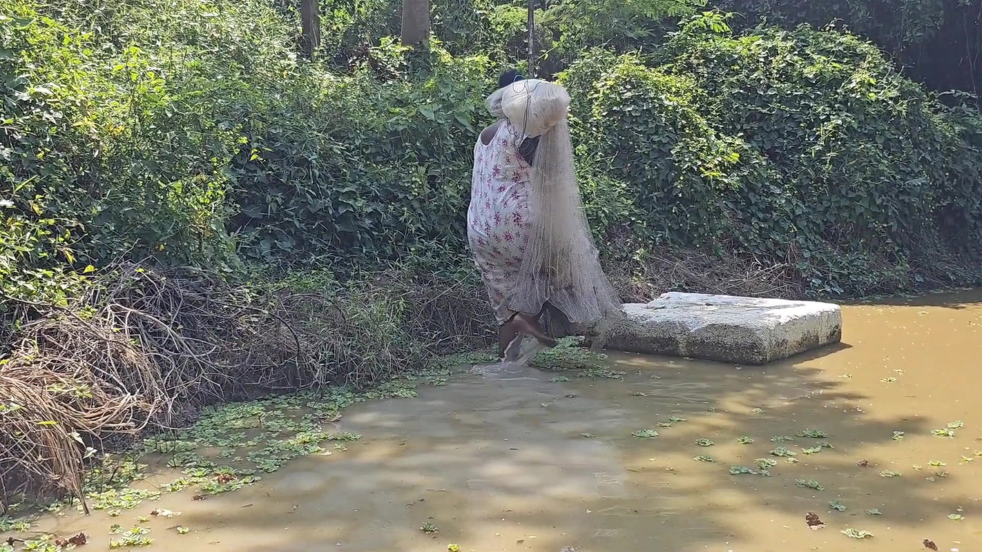 Amazing Net Fishing    Village Women Net Fishing f