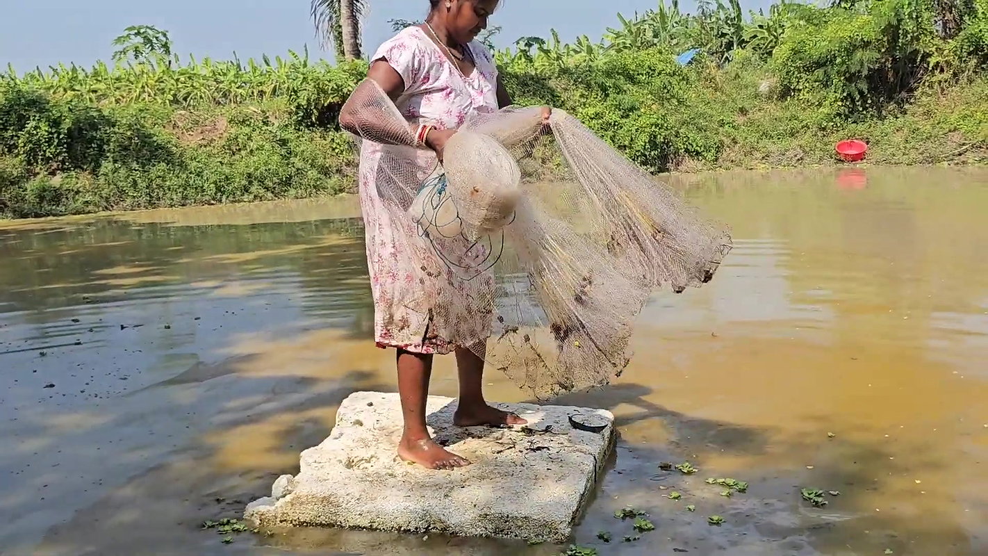 Amazing Net Fishing    Village Women Net Fishing f