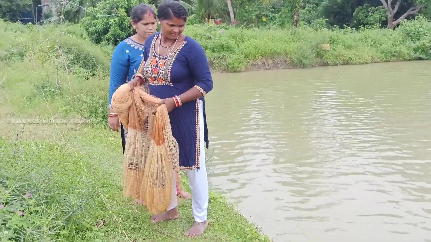 Amazing New Village Women Net Fishing Video    Vil