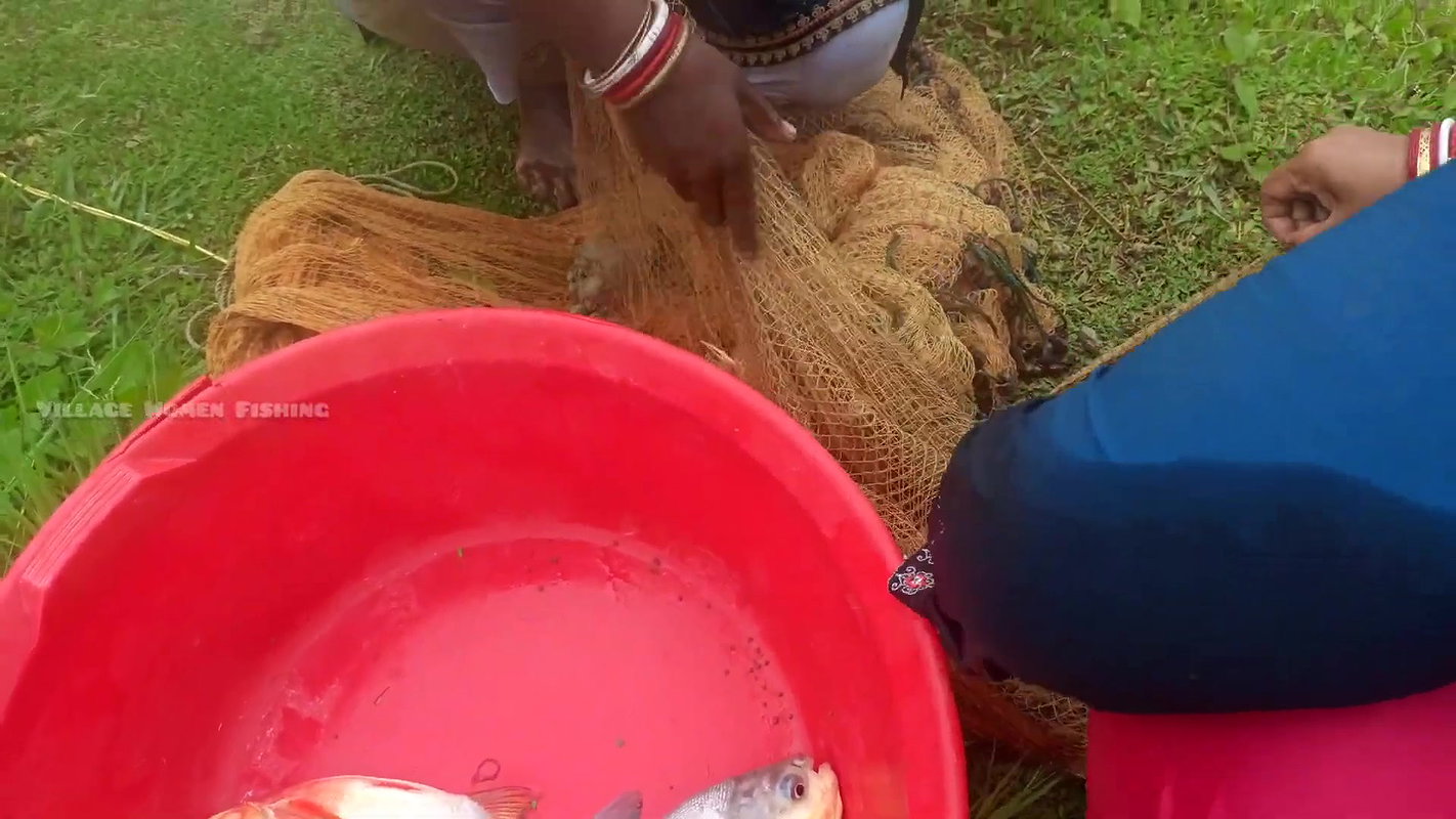 Amazing New Village Women Net Fishing Video    Vil