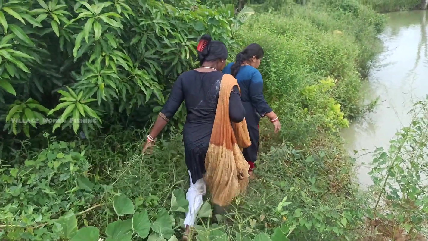 Amazing New Village Women Net Fishing Video    Vil
