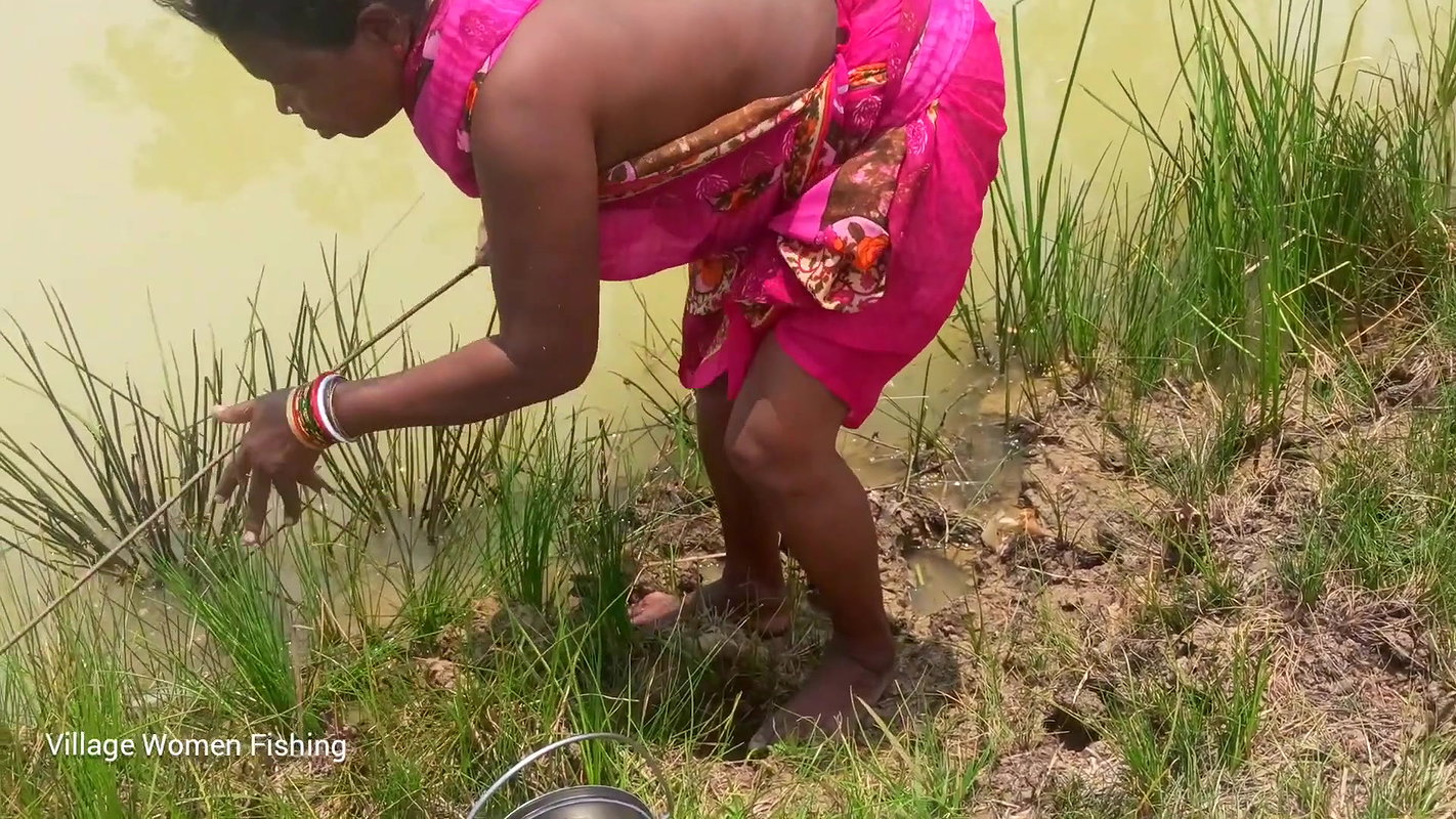 Amazing pond Crab catching by Village women   Vill