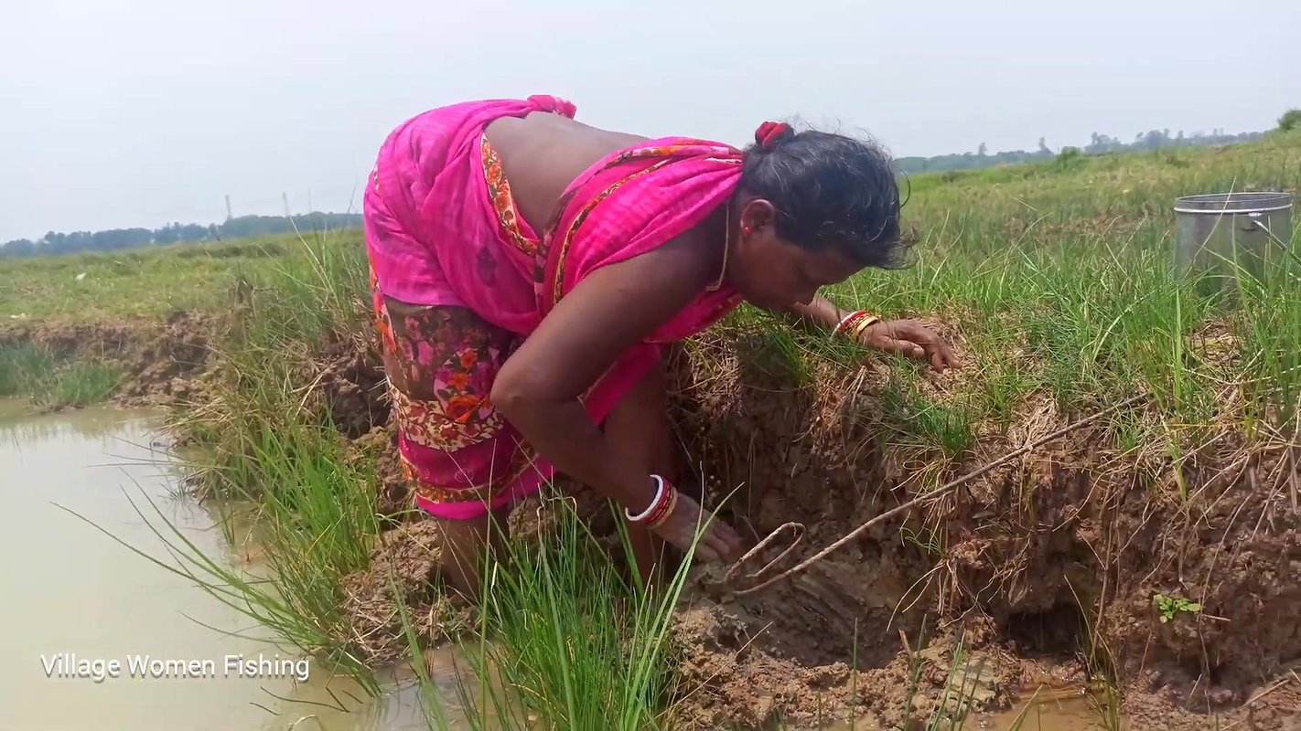 Amazing pond Crab catching by Village women   Vill
