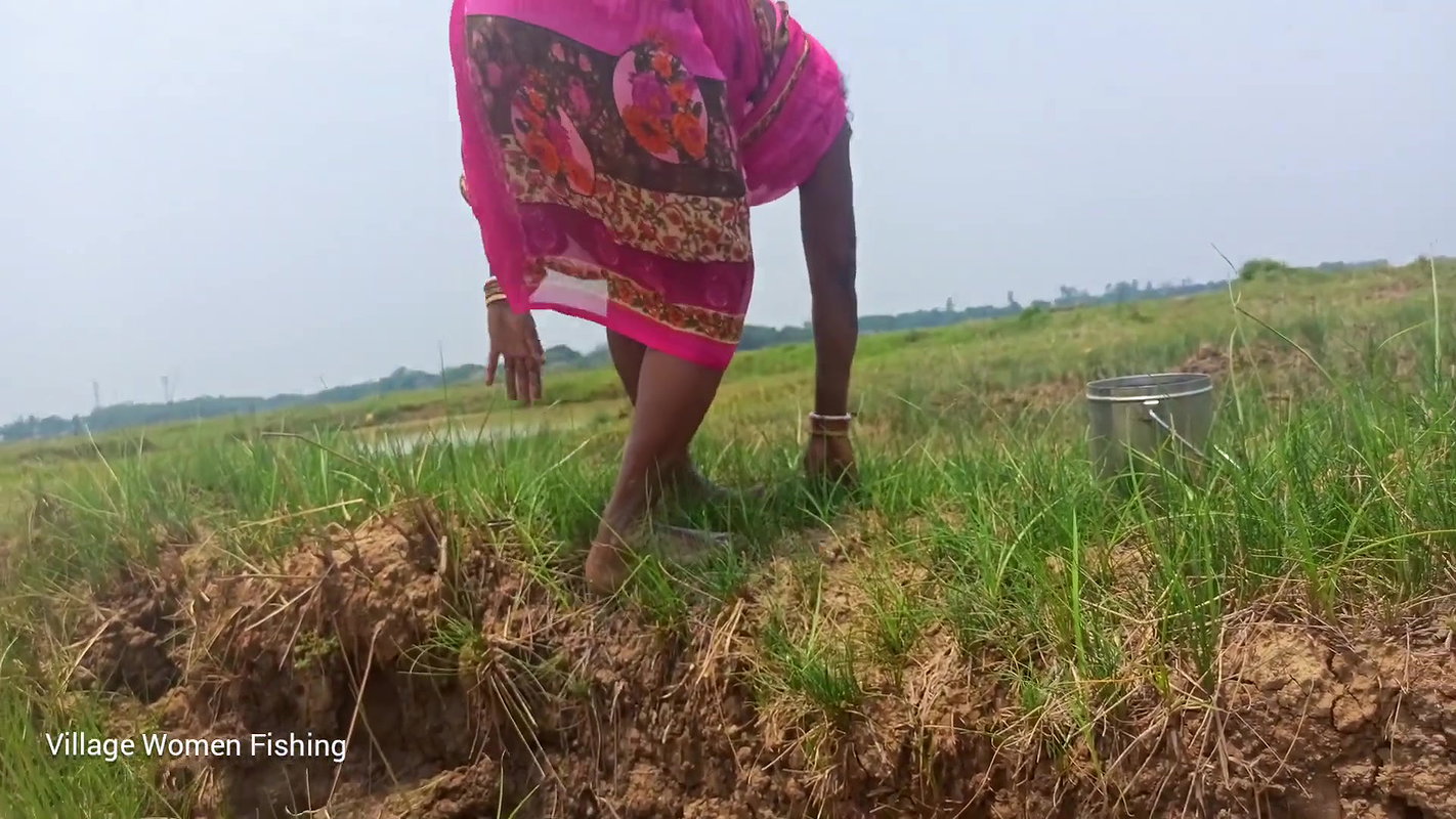 Amazing pond Crab catching by Village women   Vill