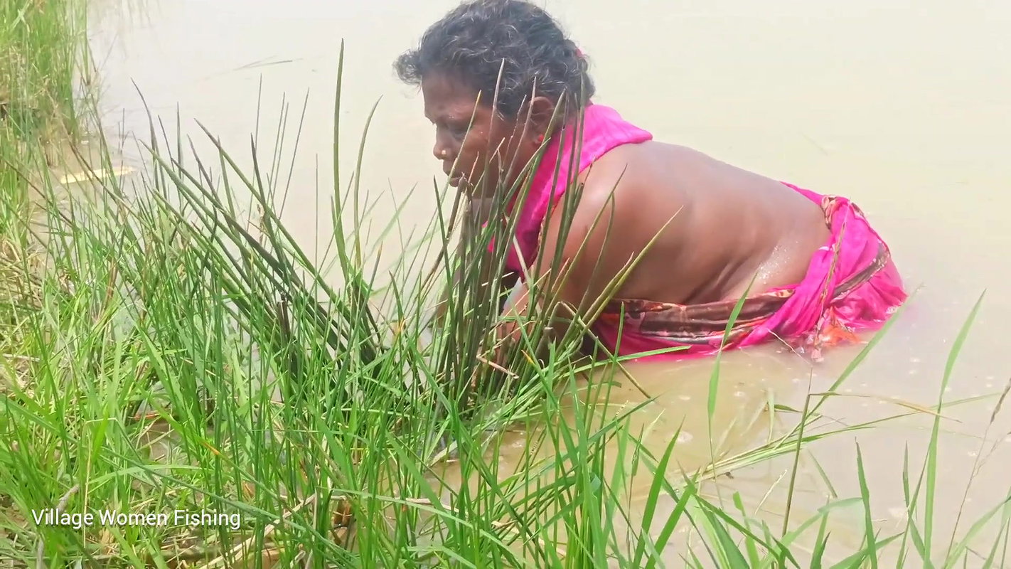 Amazing pond Crab catching by Village women   Vill
