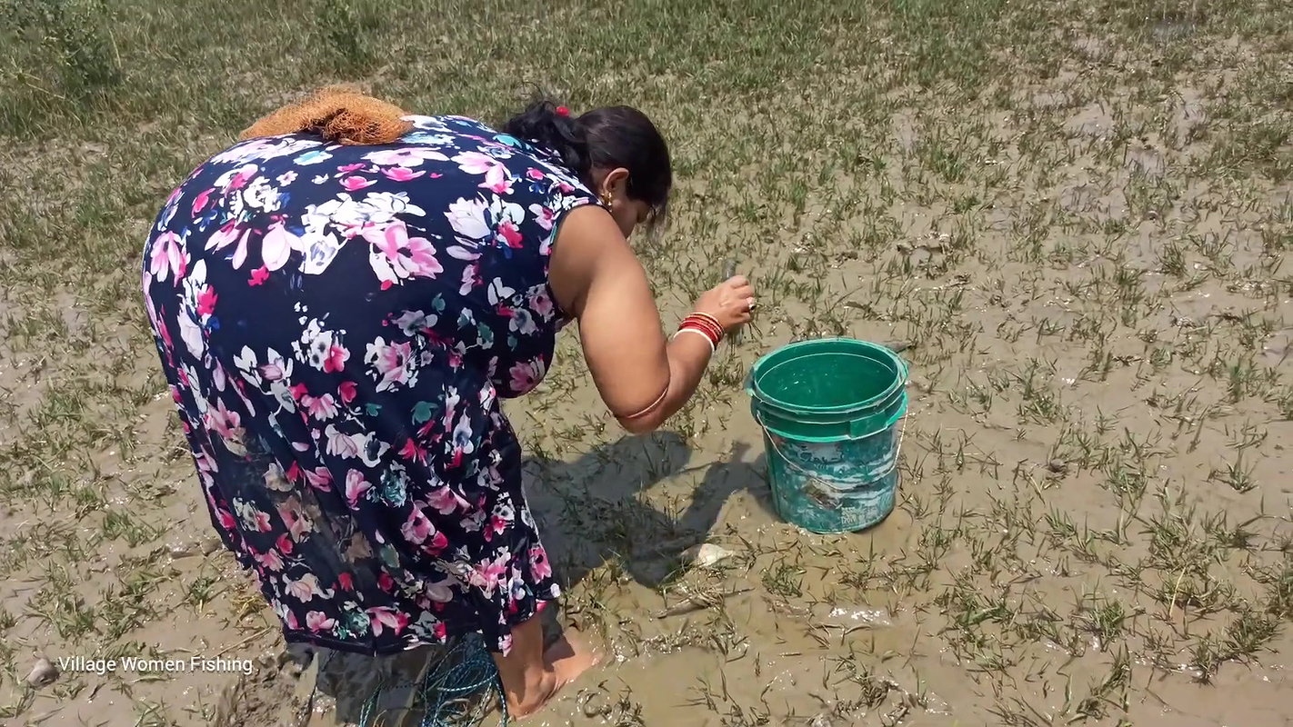 Amazing River fishing by Village women Net fishing