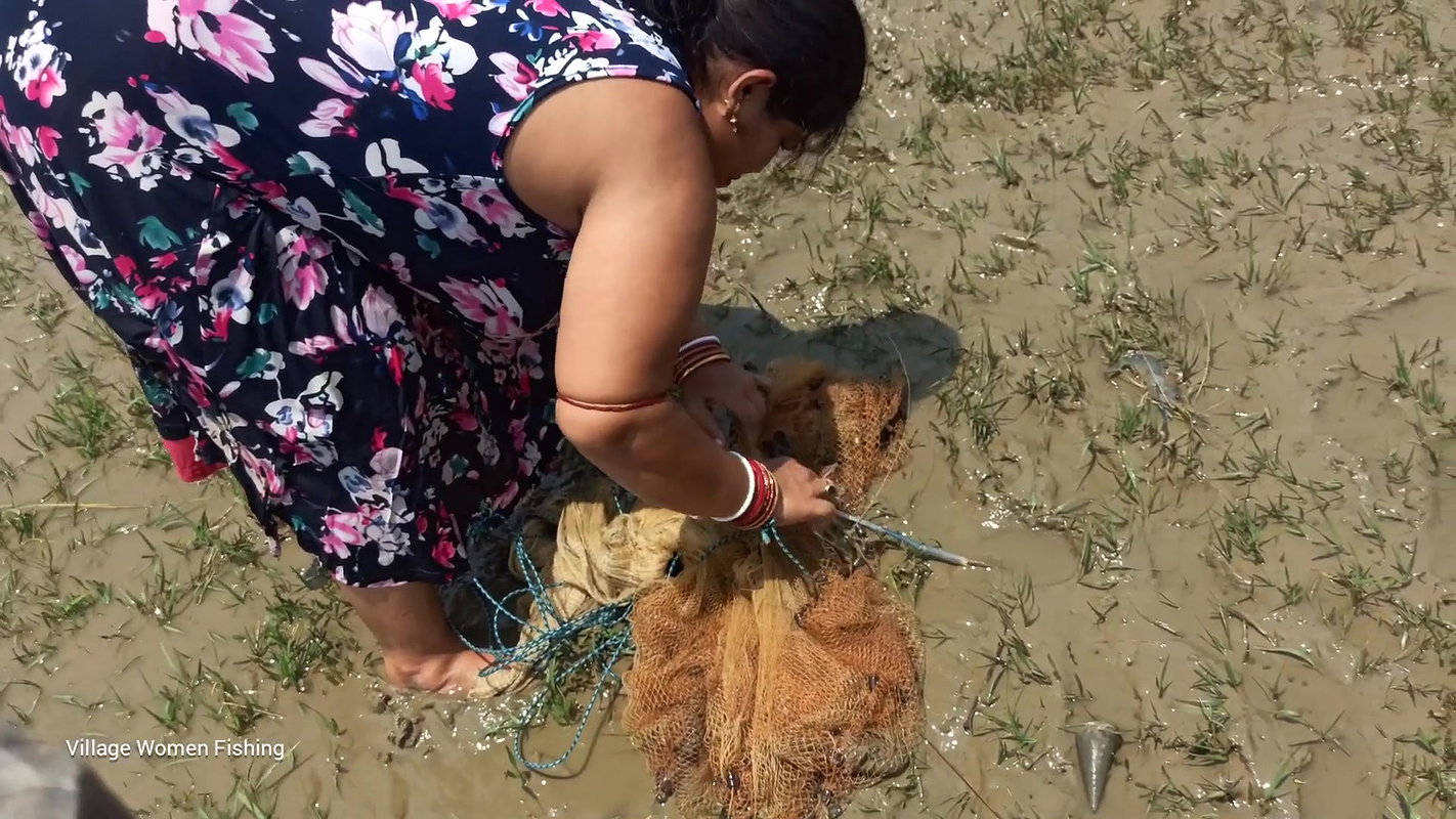 Amazing River fishing by Village women Net fishing
