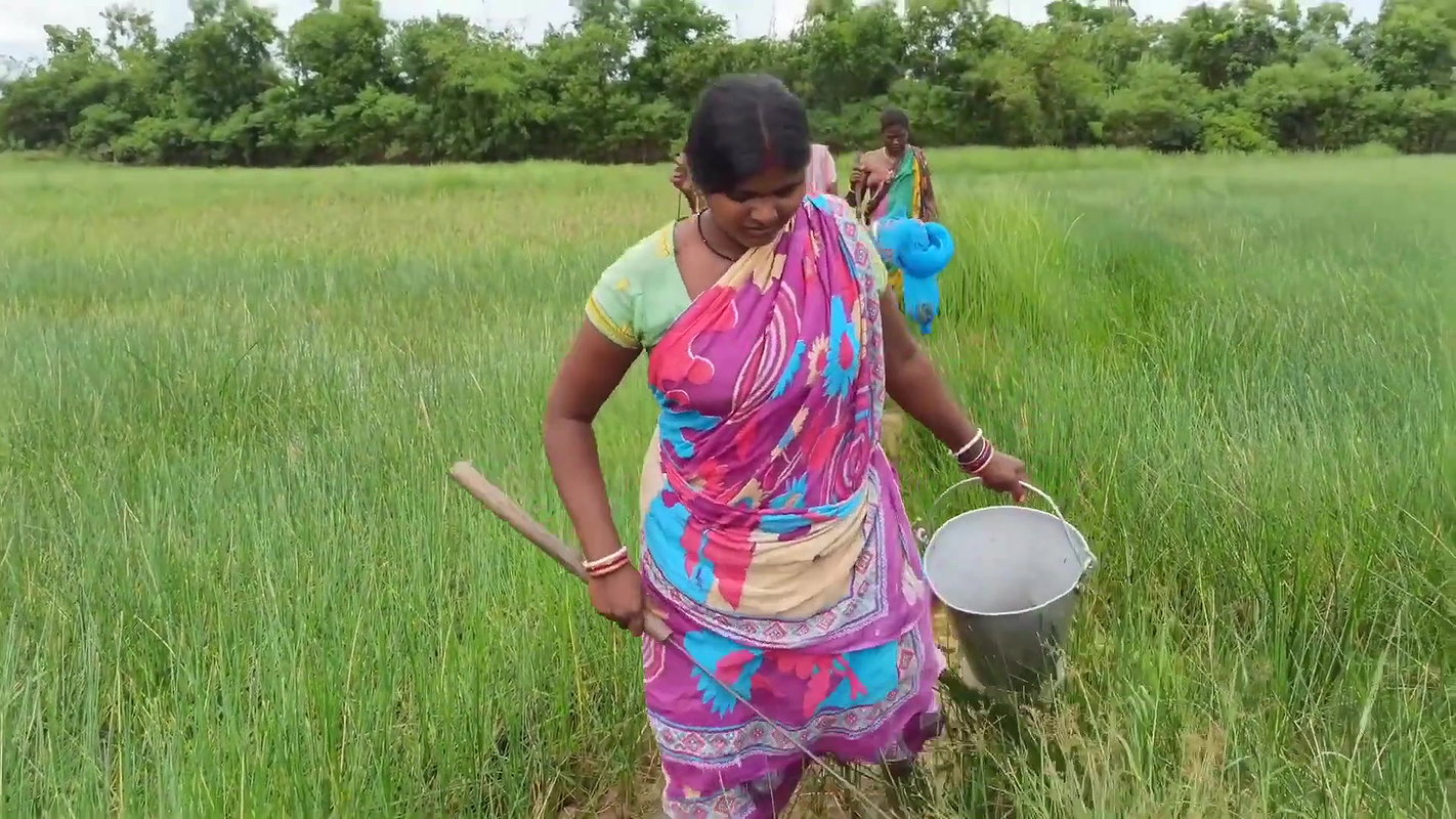 Amazing Sea crab Catching  Village Women Fishing