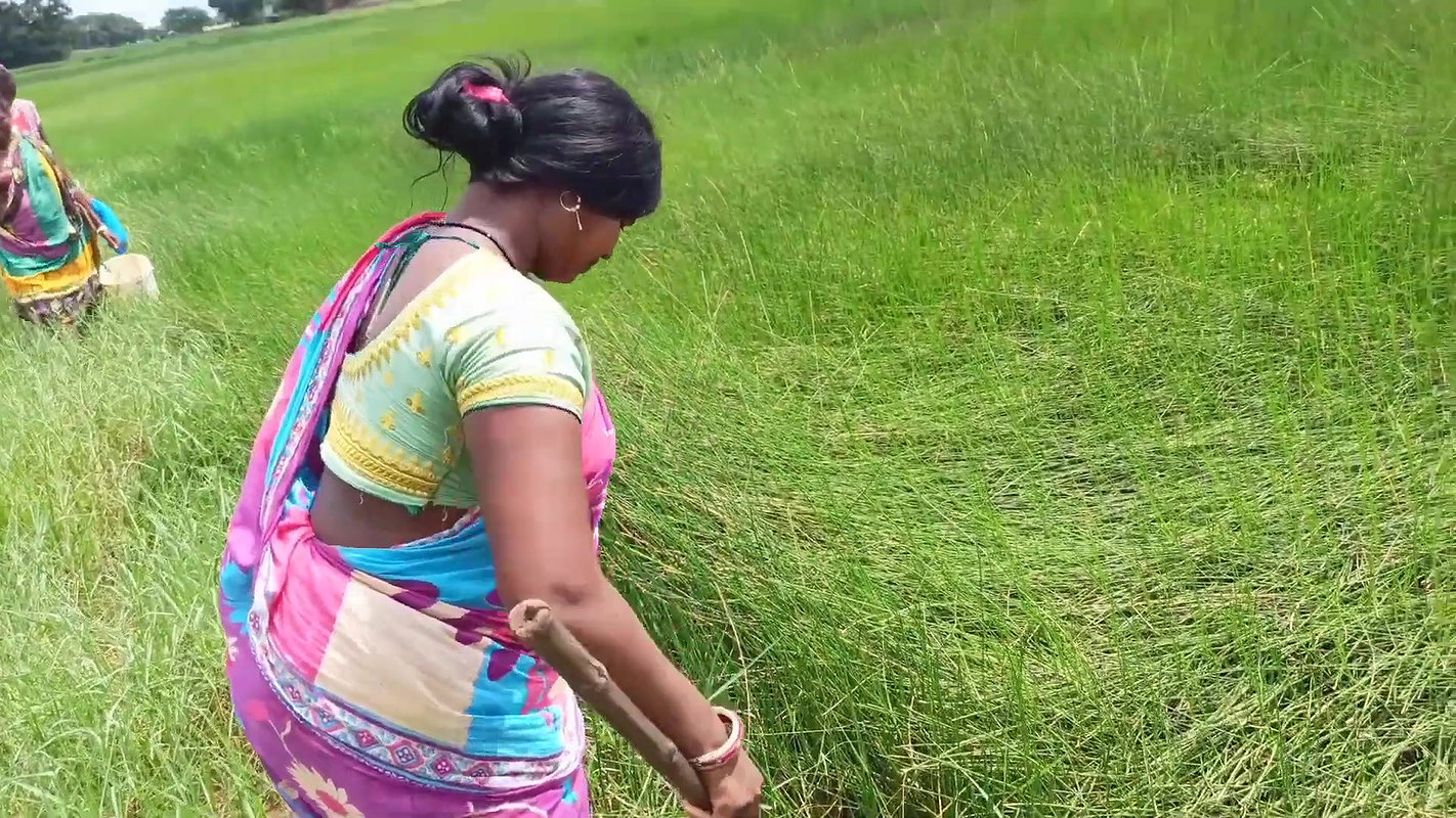Amazing Sea crab Catching  Village Women Fishing
