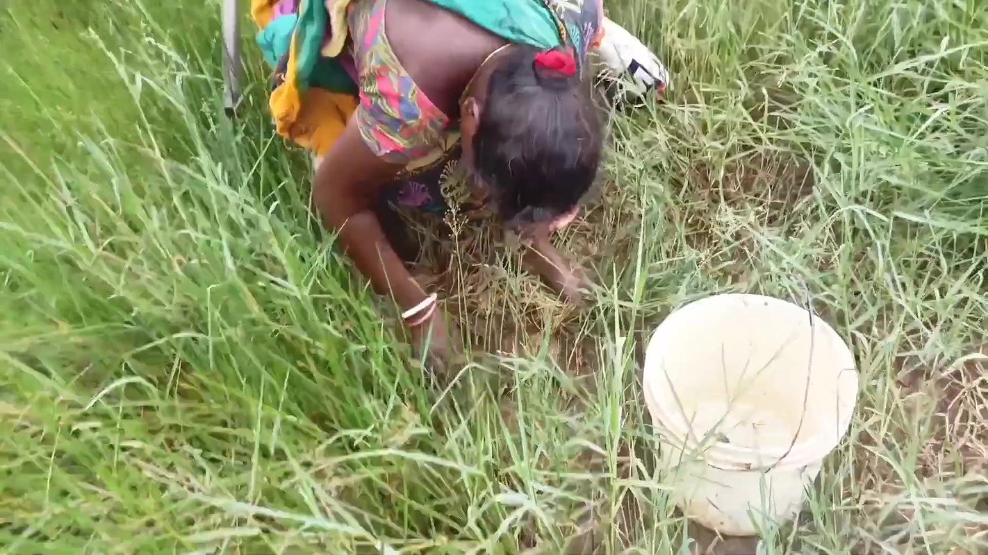 Amazing Sea crab Catching  Village Women Fishing