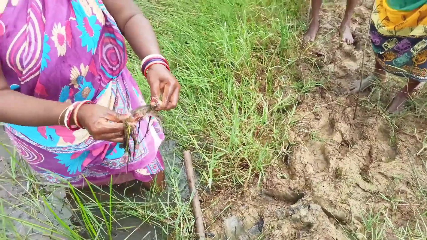 Amazing Sea crab Catching  Village Women Fishing